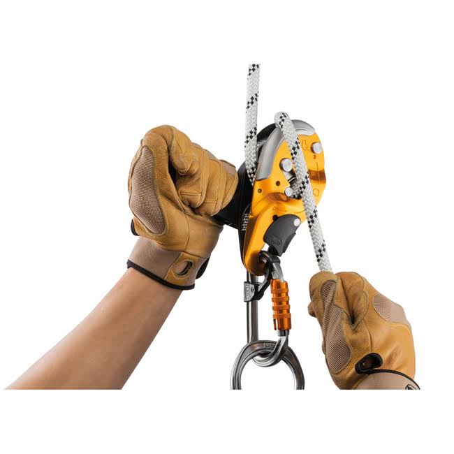 Descender Black L616121