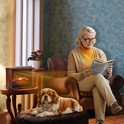 Infrared Space Heater for Indoor Use with Remote Control J768