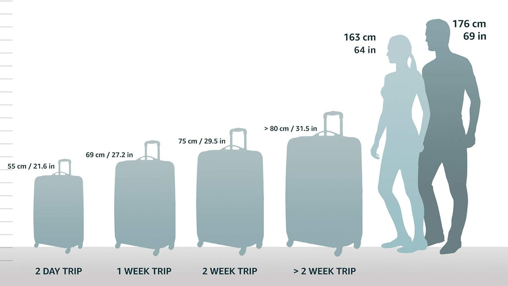 Hardside Expandable Spinner Carry-On Luggage, 20-Inch N80250