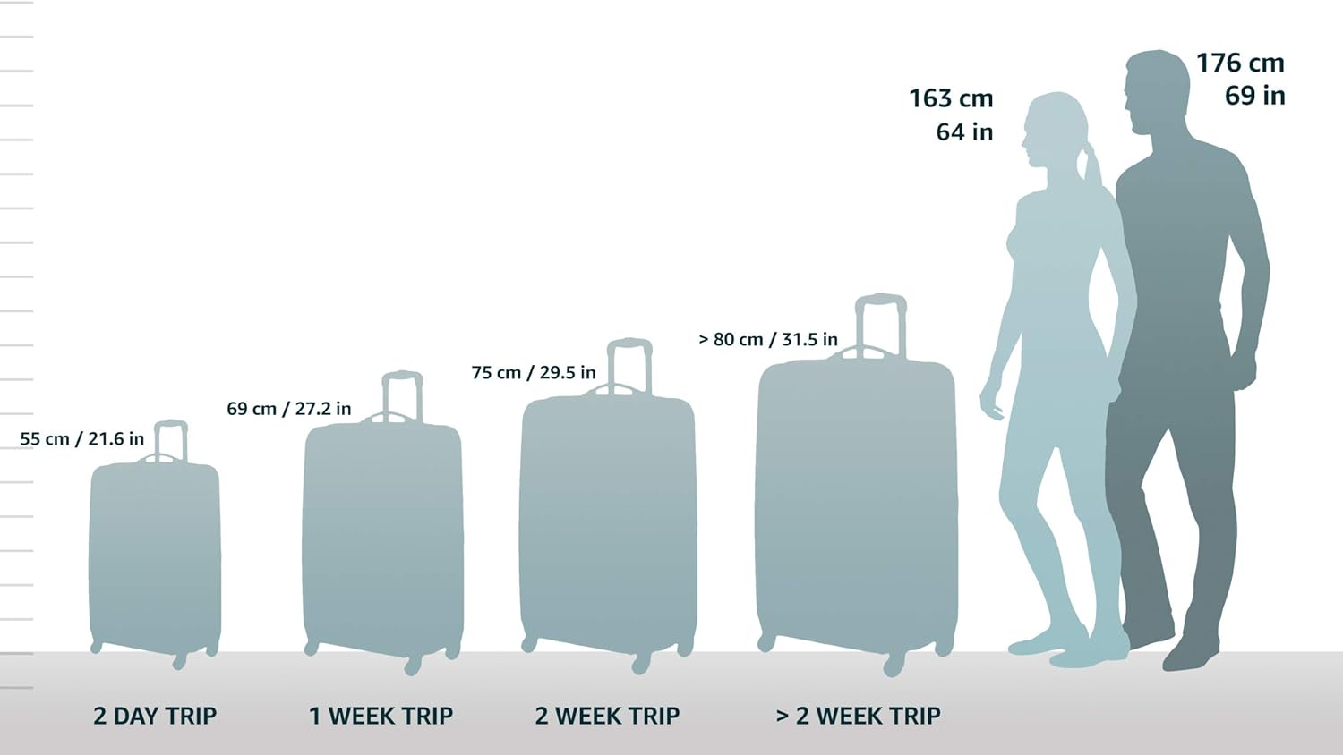 Hardside Expandable Spinner Carry-On Luggage, 20-Inch N80250