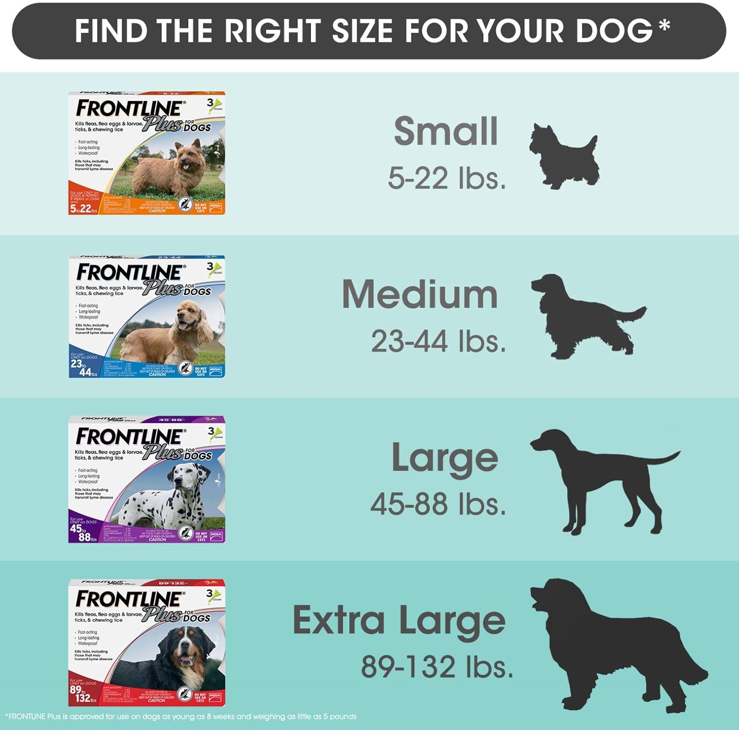 Flea and Tick Treatment for Medium Dogs, 8 Doses F458