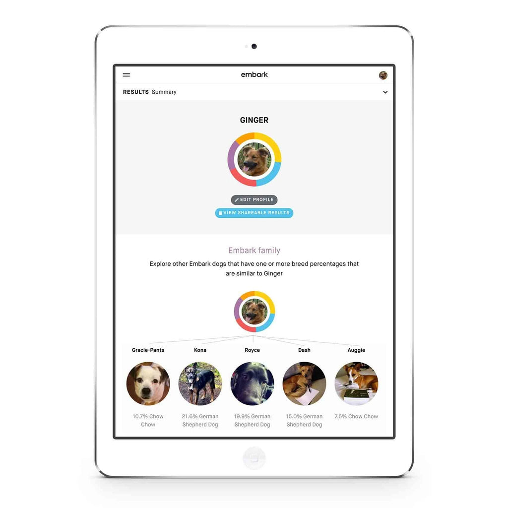 Dog DNA Test with Breed Identification and Health Results A4949