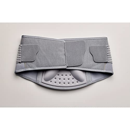 Back Support, Large/X-Large D494101