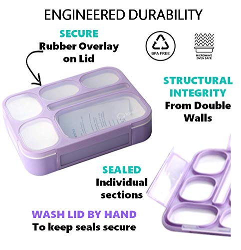 Bento Lunch Boxes with Insulated Bag and Ice Packs, 6 Compartments, Leakproof, Blue & Pink L15199