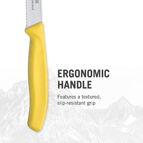4-Piece Paring Knife Set, Multicolored G552