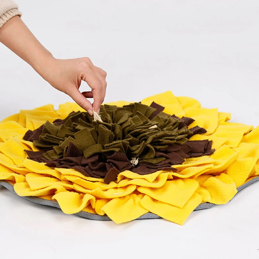 Slow Feeder Pad for Dogs, Non-Slip Pet Bowl T170