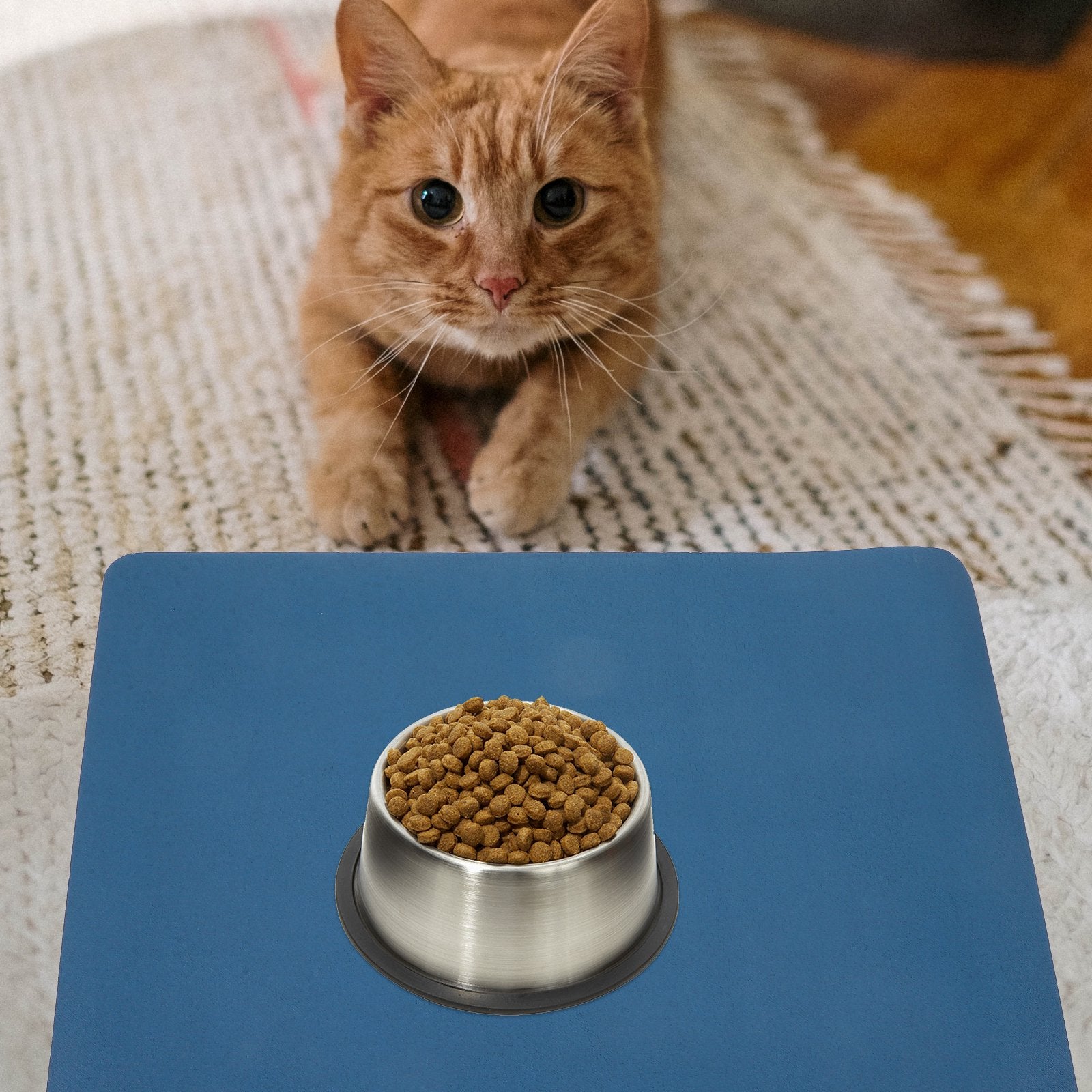 Dog Water Bowl Absorbent Mat No Stains F9154
