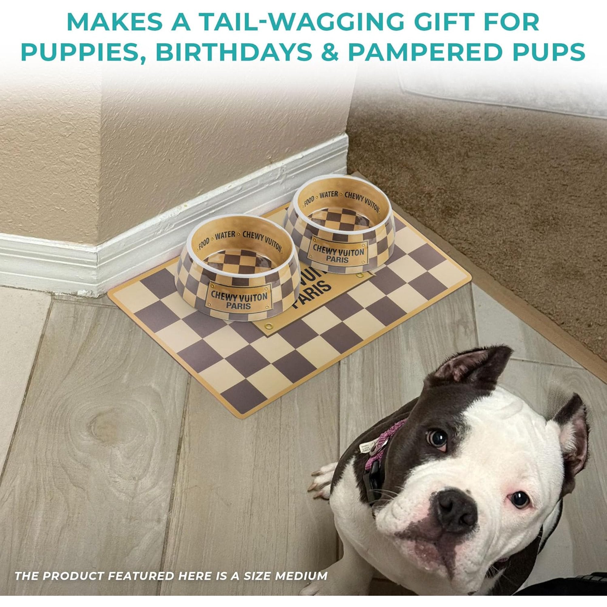 Dog Bowls & Placemat, BPA-Free, Non-Skid, Dishwasher Safe, Small Size, Case of 2 W1700