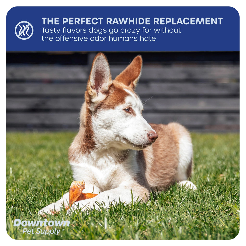 Jumbo Pig Ears Dog Chews 35 Pack E114782