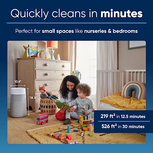 Air Purifier for Small Room, Bedroom, Home, Cleans 926 sqft, HEPASilent for Pets, Allergens, Dust, Mold, Smoke E23720