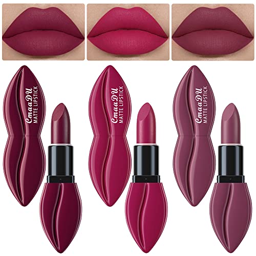 evpct 5Pcs Dark Light Bright Red Matte Lipstick Pack Sets for Women Ruby Red Silky Matte Velvet permanent Lipstick Long Lasting Smudge Proof 24 hours Lip Stain Sets labiales mate 24 horas originales