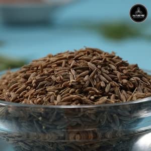 Garlic Ground Powder, 5lbs, Gluten-Free & Non-GMO S51977