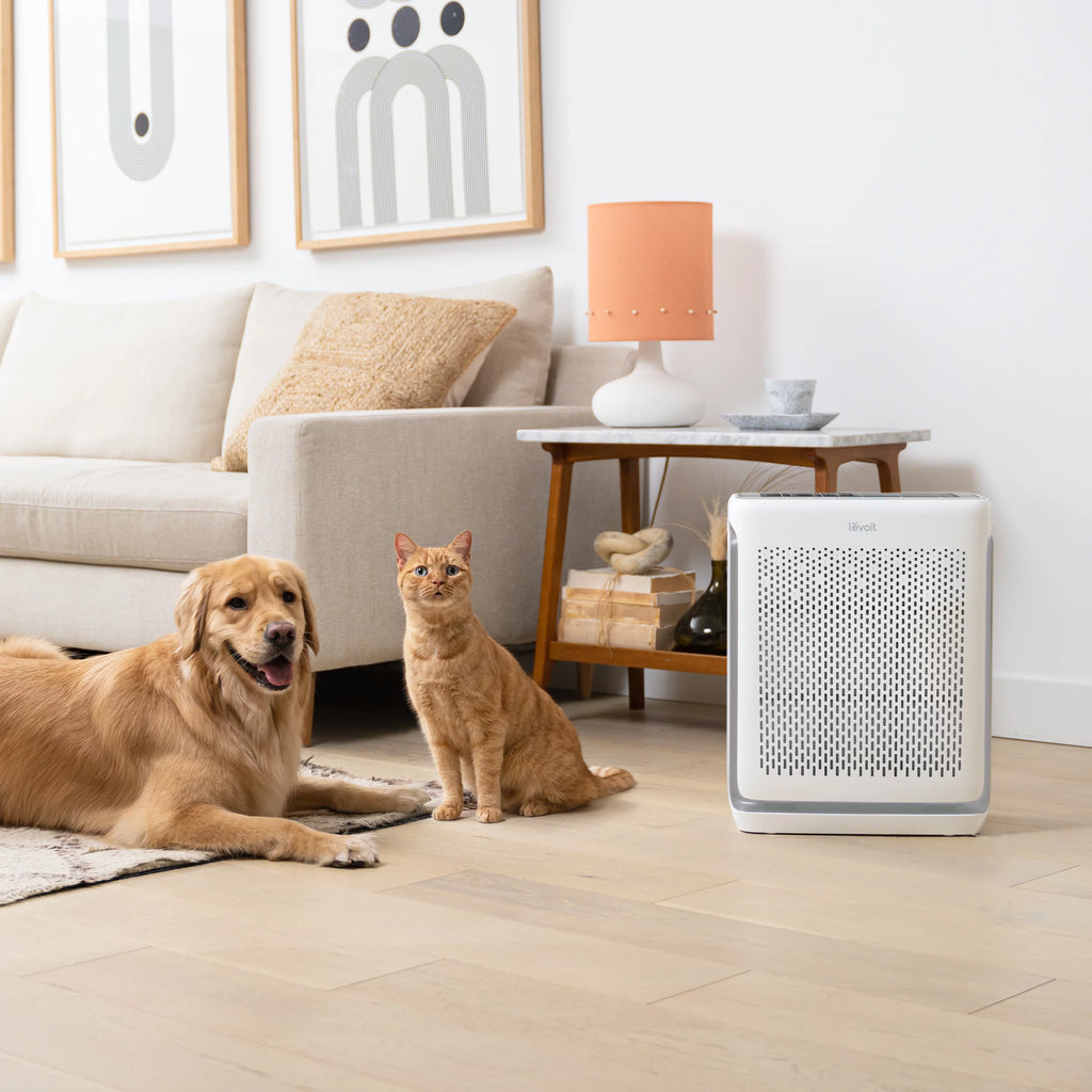 Air Purifier for Large Rooms K75378