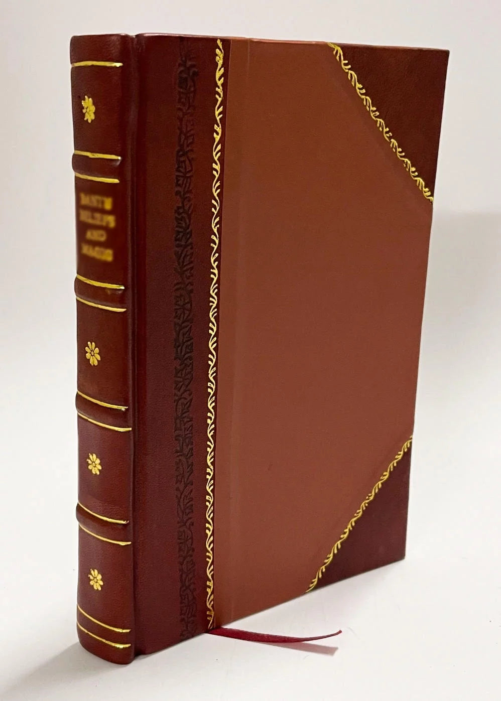 Nuevo Diccionario Frances-Espanol Y Espanol-Frances, Con La Pronunciacion Figurada En Ambas Lenguas / Vicente Salva Y Perez , (, Juan Batista Guim (1889) (1889) [Leather Bound]