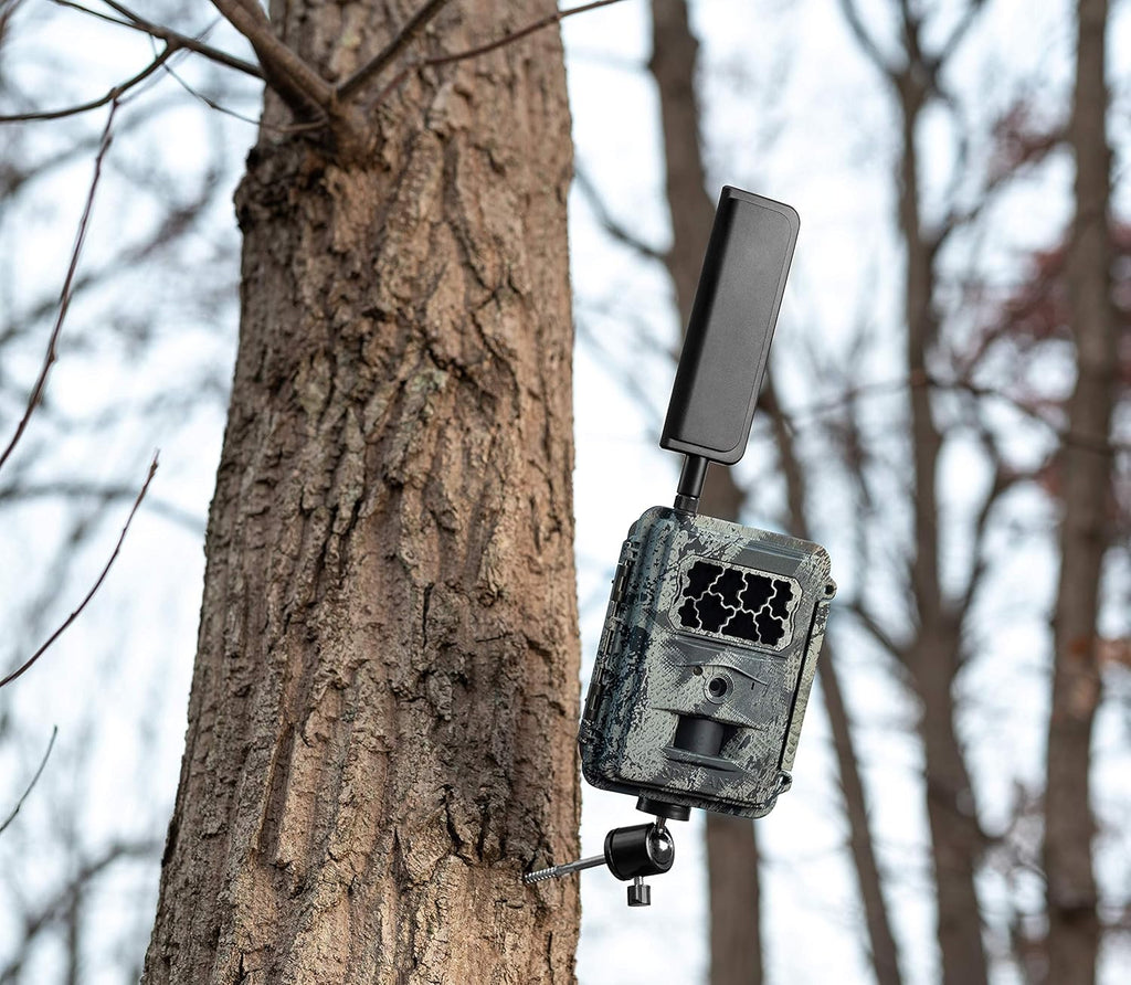 Wireless Trail Camera with Mount, Verizon Blackout P260888
