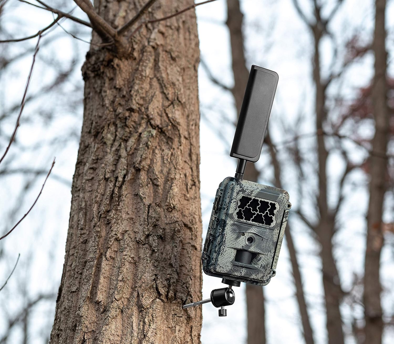 Wireless Trail Camera with Mount, Verizon Blackout P260888