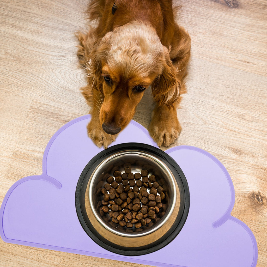 Silicone Dog Bowl Placemat with Food Dish, 2 Pack M593681