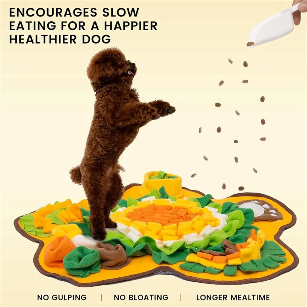 Sniff Mat for Dog Feeding N823021