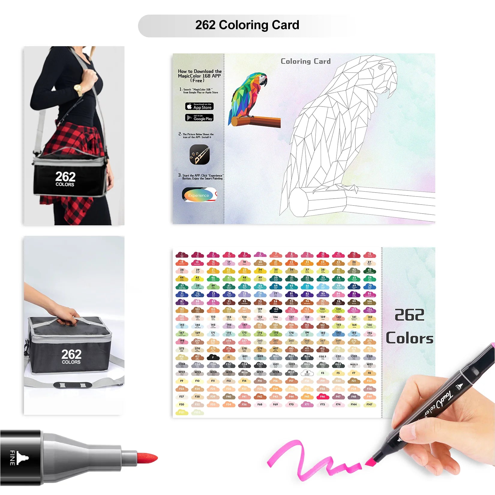 262 Colors Alcohol Markers, Chisel and Fine Tip, for Artists O501452