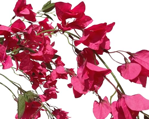 Fuchsia Artificial Bougainvillea Silk Hanging Flowers, 49 Inch, Pack of 2 B434