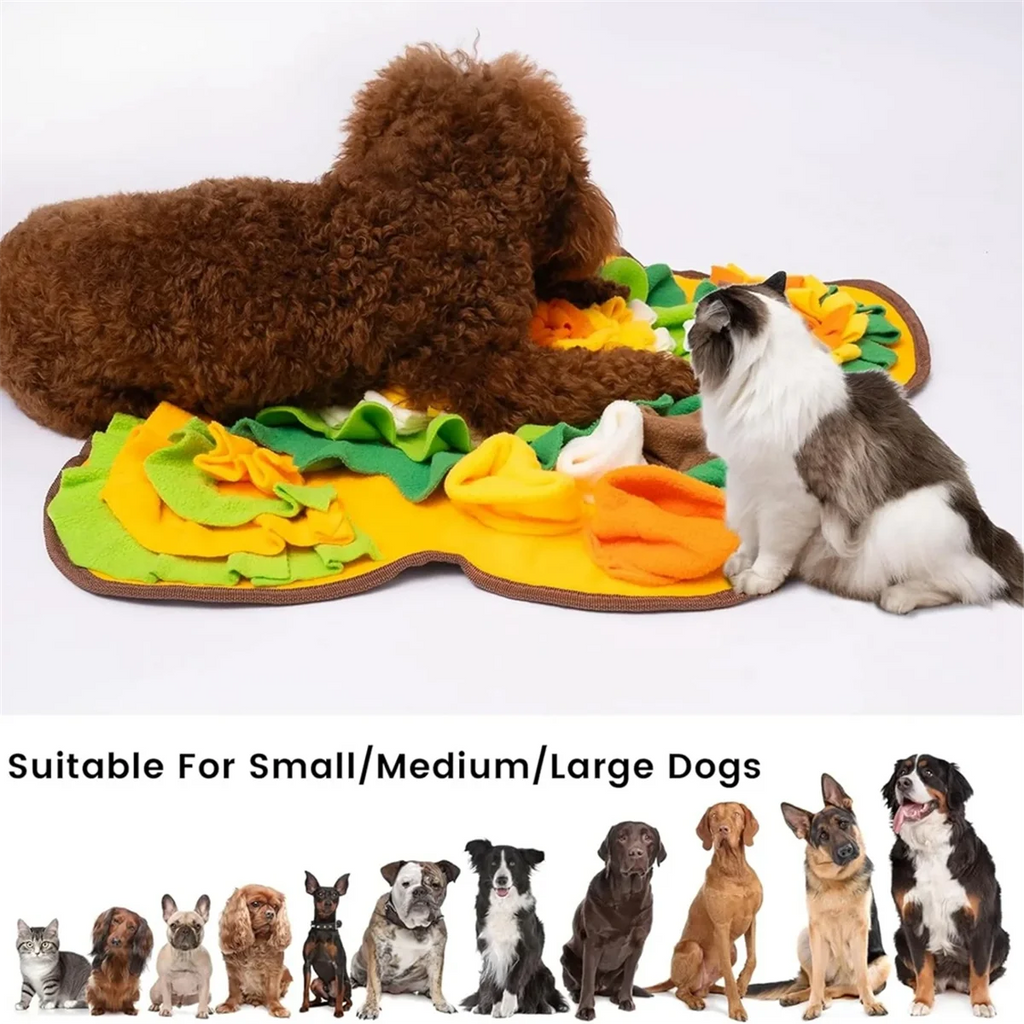Sniff Mat for Dog Feeding N823021