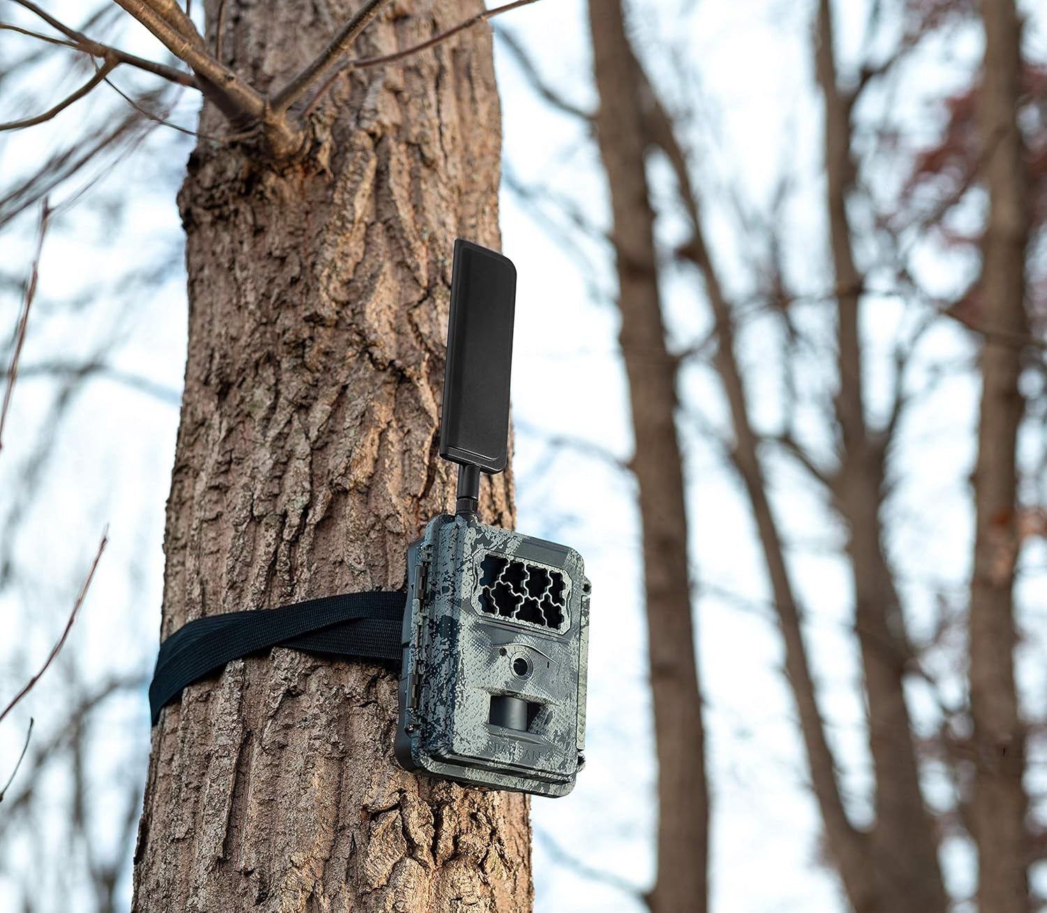 Wireless Trail Camera with Mount, Verizon Blackout P260888