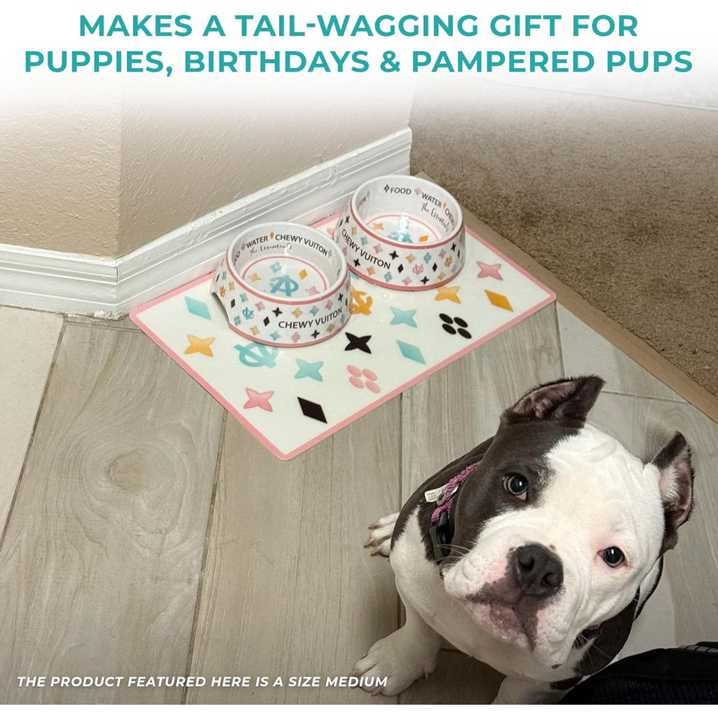 White Chewy Dog Bowls & Placemat, BPA-Free, Non-Skid, Dishwasher Safe, Small, 2-Pack Y1319