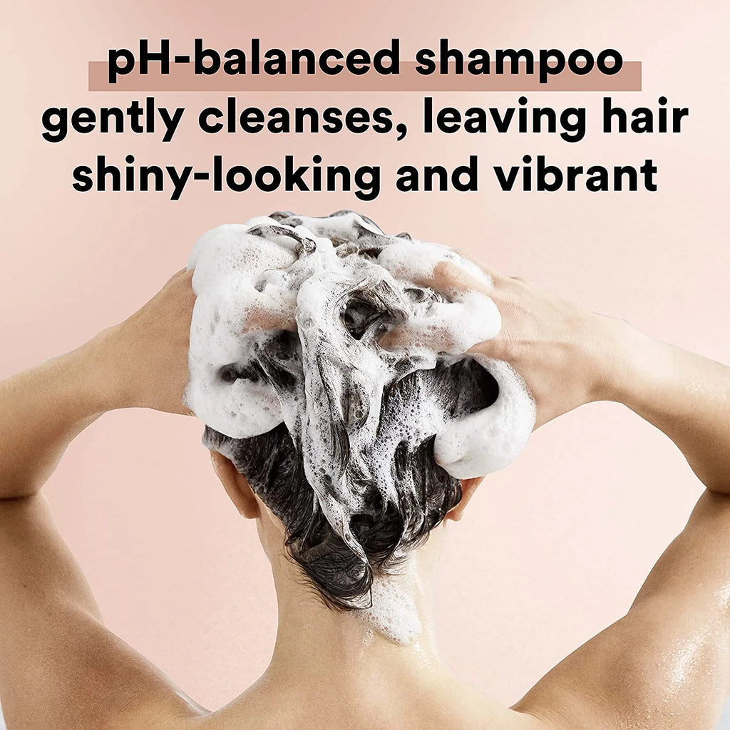 Moroccan Argan Oil Shampoo, 12.6 oz, 3-Pack G7806
