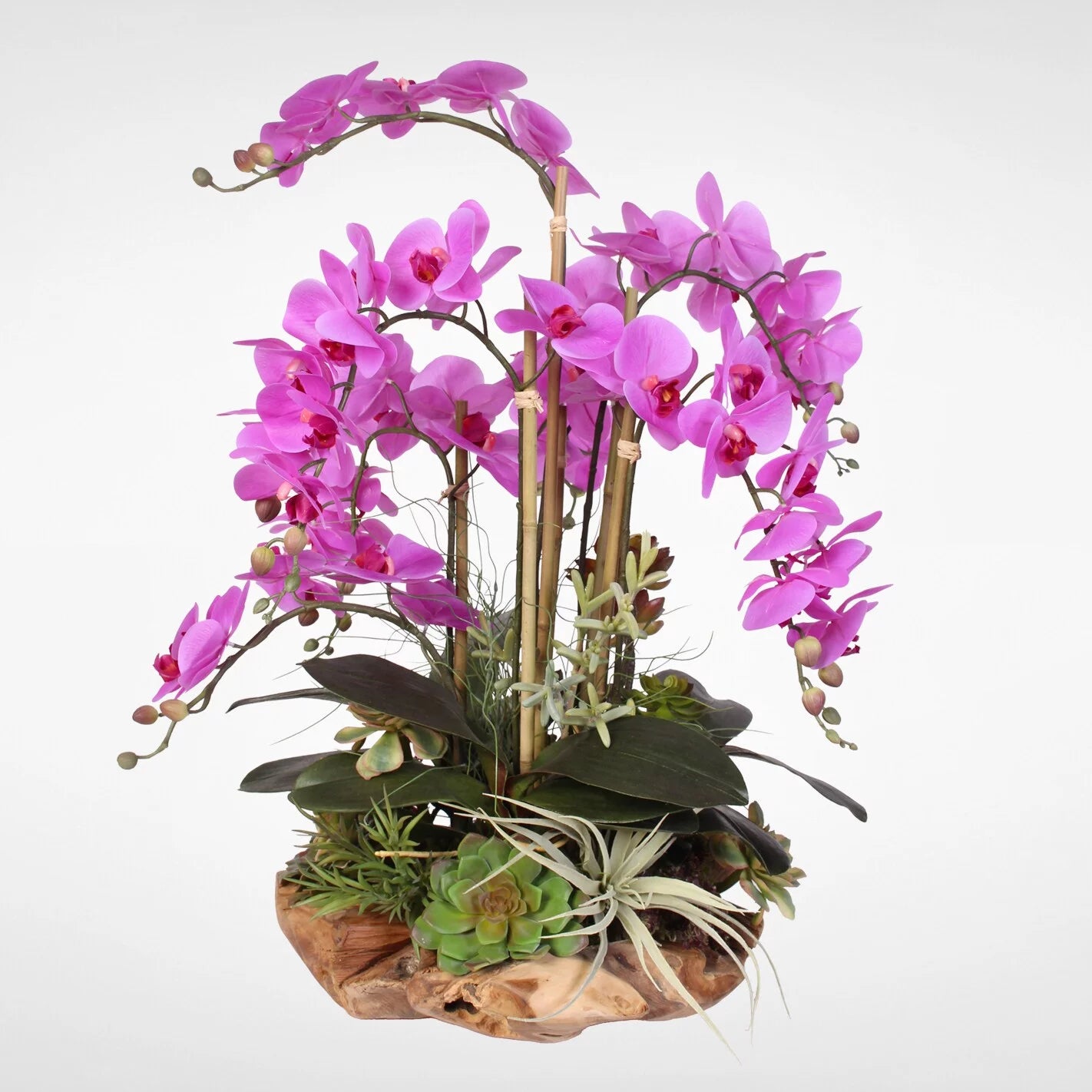 Silk Orchids with Succulents in Natural Wood Bowl Z4979