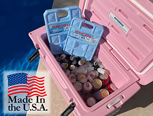 32°F Cooler & 5°F Freezer Packs for Boating, Fishing, Camping & Food Storage H324