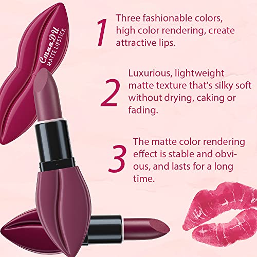 5Pcs Matte Lipstick Set for Women, Long Lasting Velvet Finish U9478
