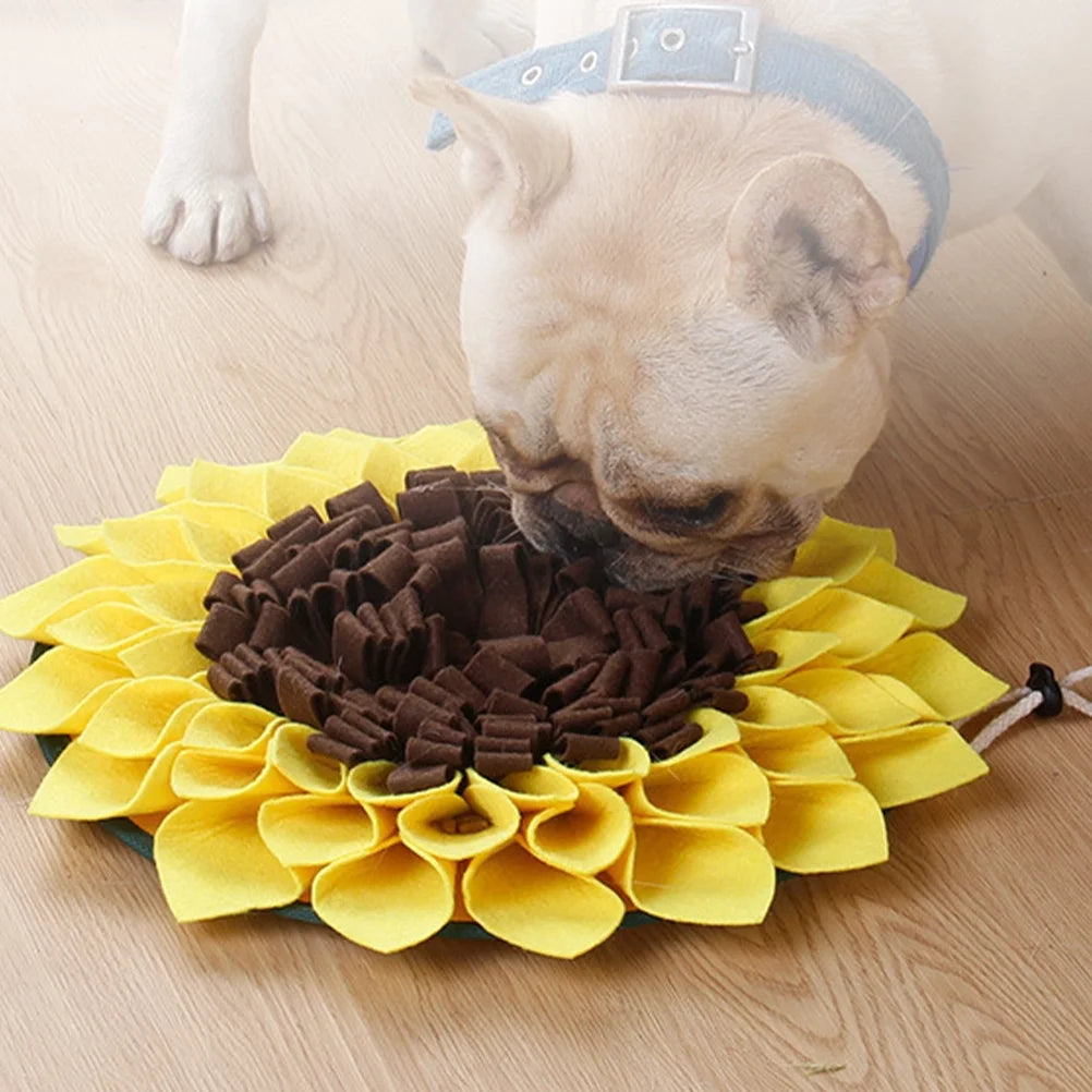 Slow Feeder Pad for Dogs, Non-Slip Pet Bowl T170