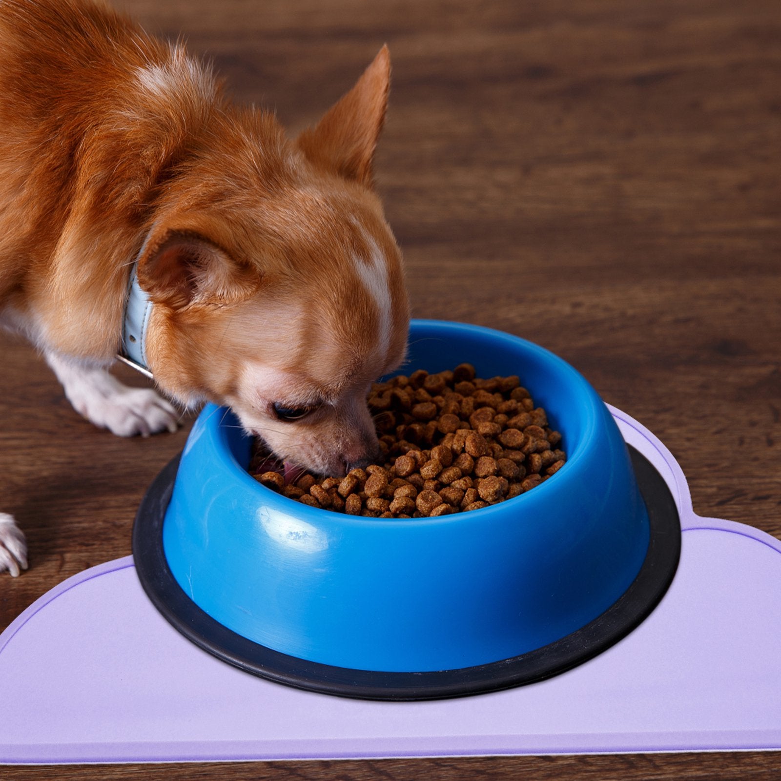 Silicone Dog Bowl Placemat with Food Dish, 2 Pack M593681