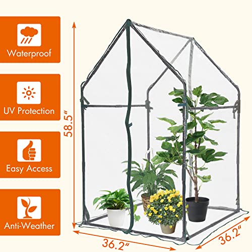 Mini Greenhouse Portable Clear Tent for Indoor or Outdoor Plants M39525
