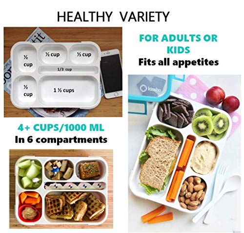 Bento Lunch Boxes with Insulated Bag and Ice Packs, 6 Compartments, Leakproof, Blue & Pink L15199