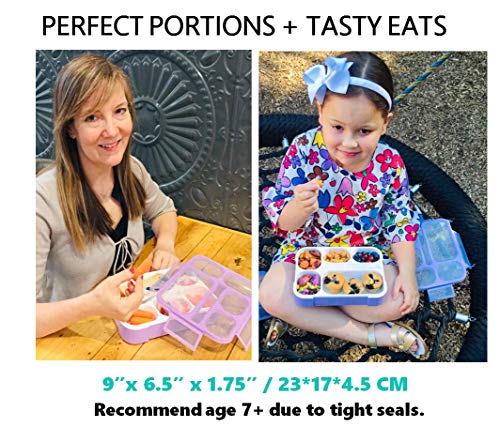 Bento Lunch Boxes with Insulated Bag and Ice Packs, 6 Compartments, Leakproof, Blue & Pink L15199