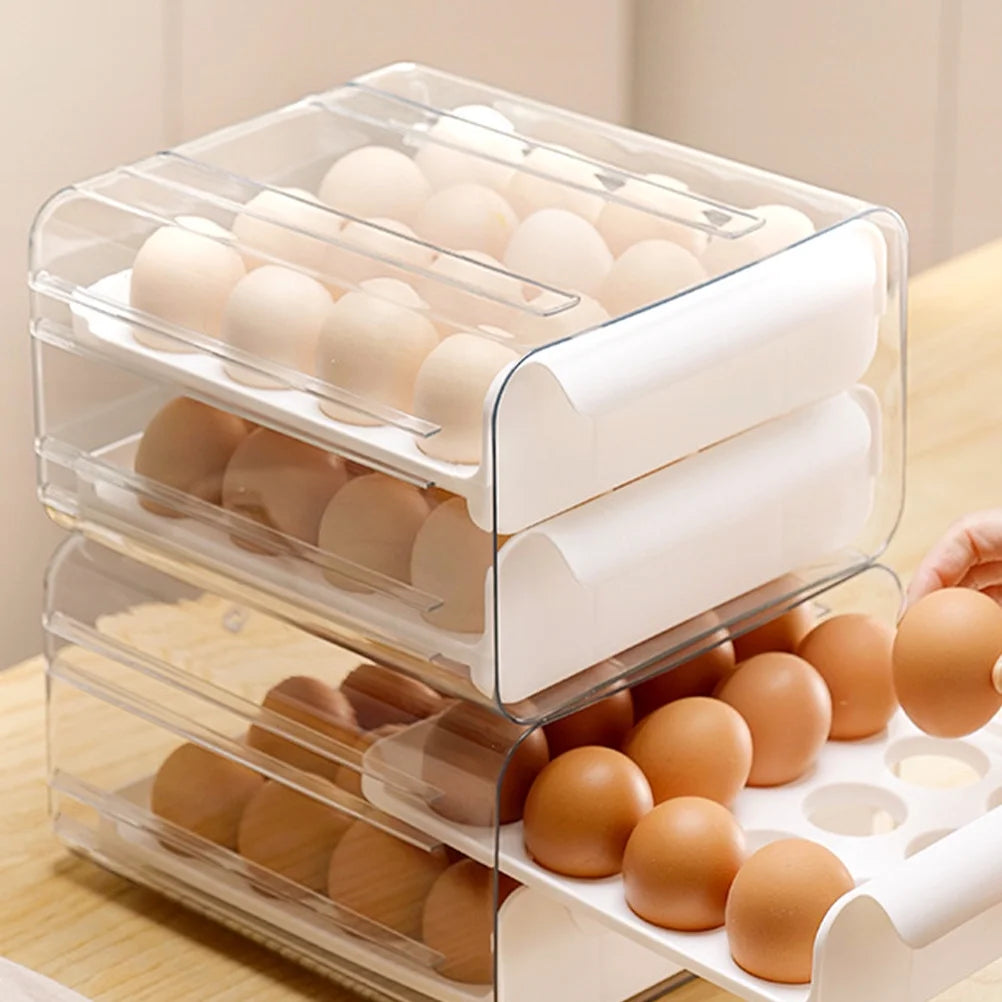 Egg Carton Organizer Storage Box E450093