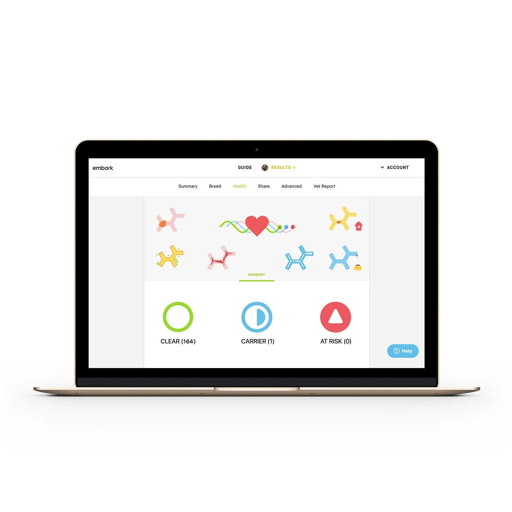 Dog DNA Test with Breed Identification and Health Results A4949