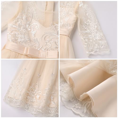 Flower Girl Lace Dress for Kids Wedding Party Puffy Tulle Gown Z244660