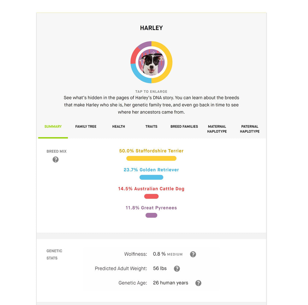 Dog DNA Test with Breed Identification and Health Results A4949
