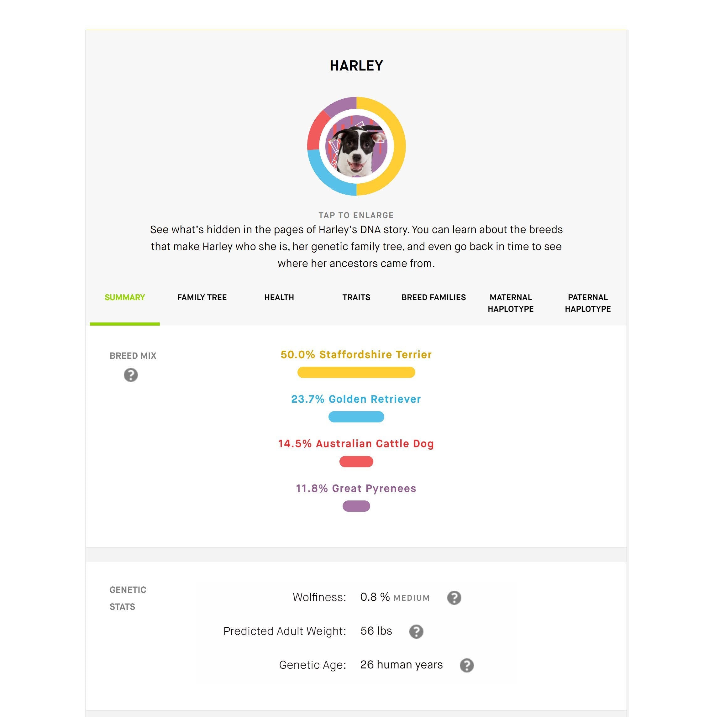 Dog DNA Test with Breed Identification and Health Results A4949