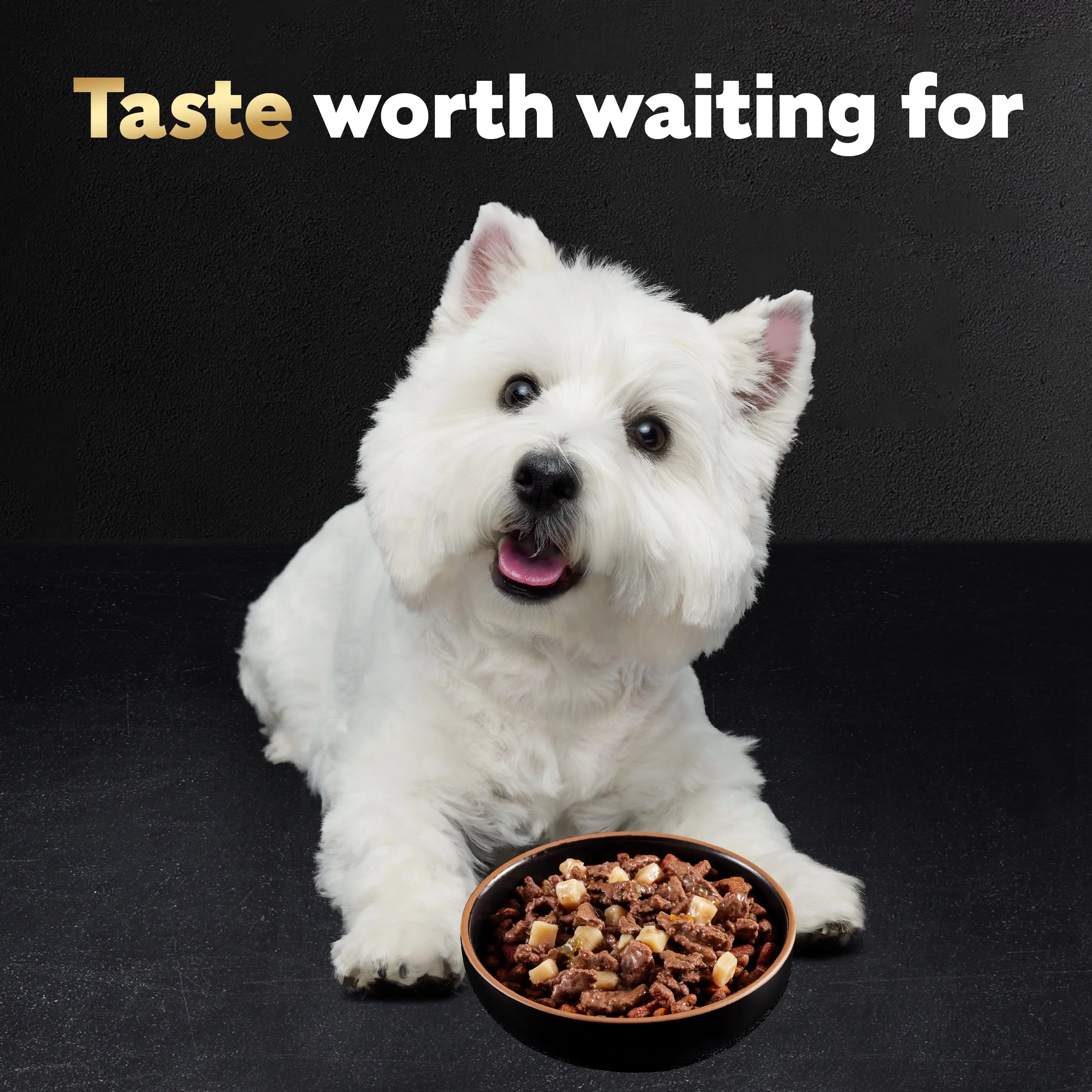 Ribeye Steak Flavor Dog Food with Vegetables, 3.5 oz (24 pk) N3996