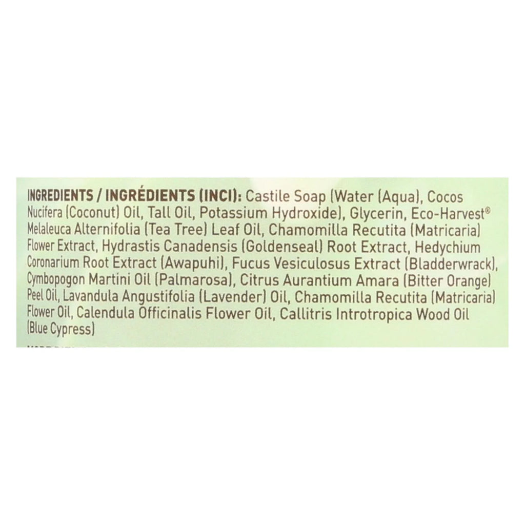 Thoroughly Clean Face Wash for Oily and Combination Skin, 32 fl oz E622691
