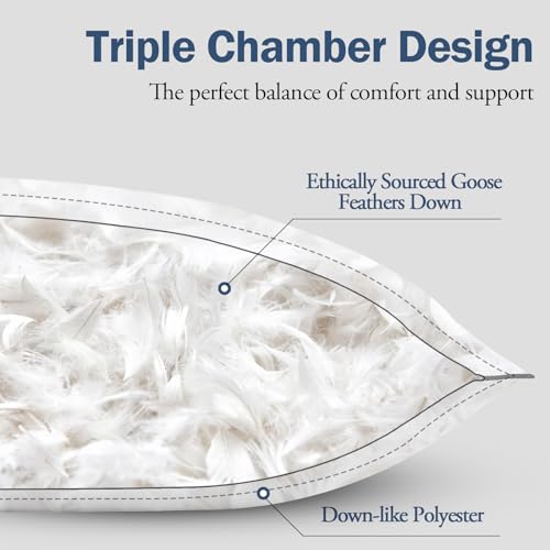 Medium Firm Goose Down King Size Pillows Set of 2, 1000TC Organic Cotton Cover J29553