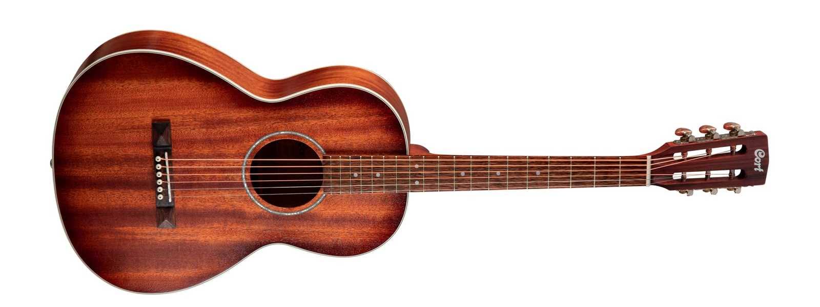 Parlor Acoustic Guitar R6282