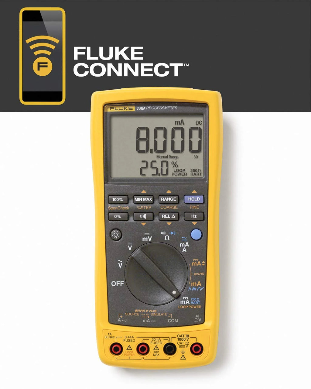 Process Meter with mA Signal Measurement and 24 V Loop Supply G7974