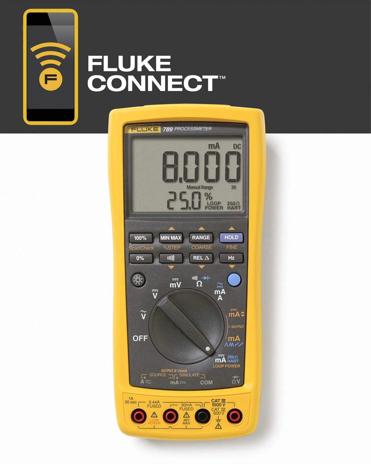 Process Meter with mA Signal Measurement and 24 V Loop Supply G7974