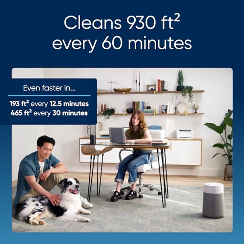 Air Purifier for Small Room, Bedroom, Home, Cleans 926 sqft, HEPASilent for Pets, Allergens, Dust, Mold, Smoke E23720