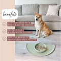 Waterproof Silicone Pet Feeding Mat - Non-Slip, Spill-Proof, Easy-to-Clean, Raised Edge Design, 21" x 10.5", Medium-Sage Green