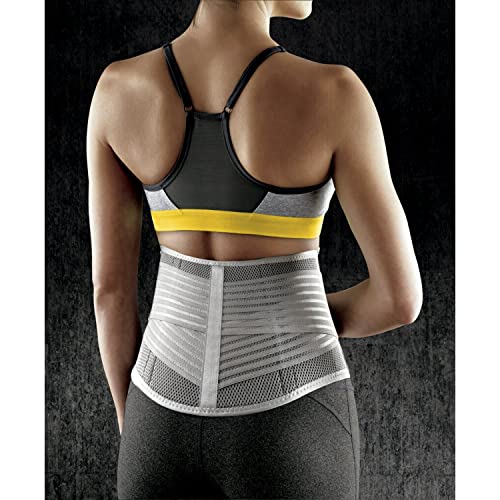 Back Support, Large/X-Large D494101